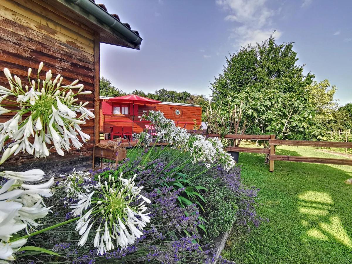 La Roulotte Du Cagire - 4 Pers - Pyrenees Guest House Villeneuve-de-Rivière Екстериор снимка